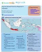 Cover of Vaccine-Derived Poliovirus Response in Indonesia situation report number 25